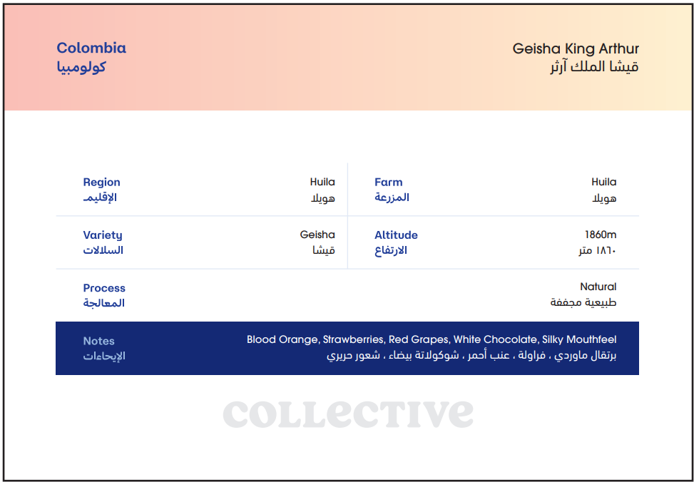 Colombia Geisha King Arthur