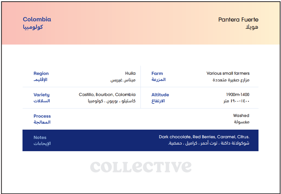 Colombia Pantera Fuerte